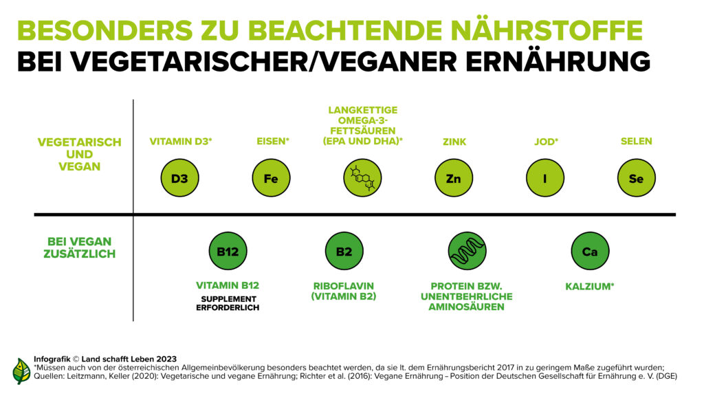 Vegan-Ernährung benötigt Nährstoffe wie Vitamin B12.